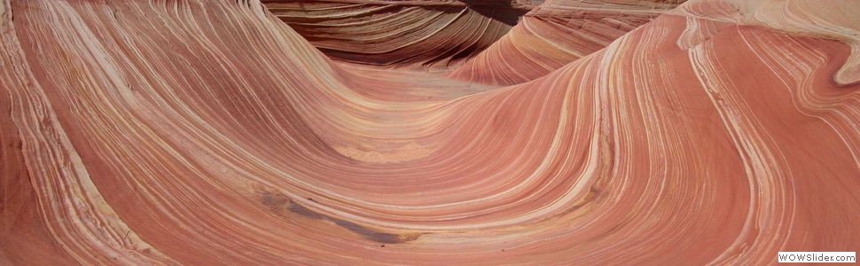the wave -  Coyotte butte north -  Arizona