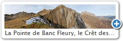 La Pointe de Banc Fleury, le Cr�t des Mouches, la Tournette en descendant par les cr�tes.